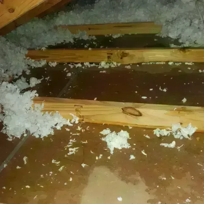 Attic Water Damage in Quartzsite, AZ