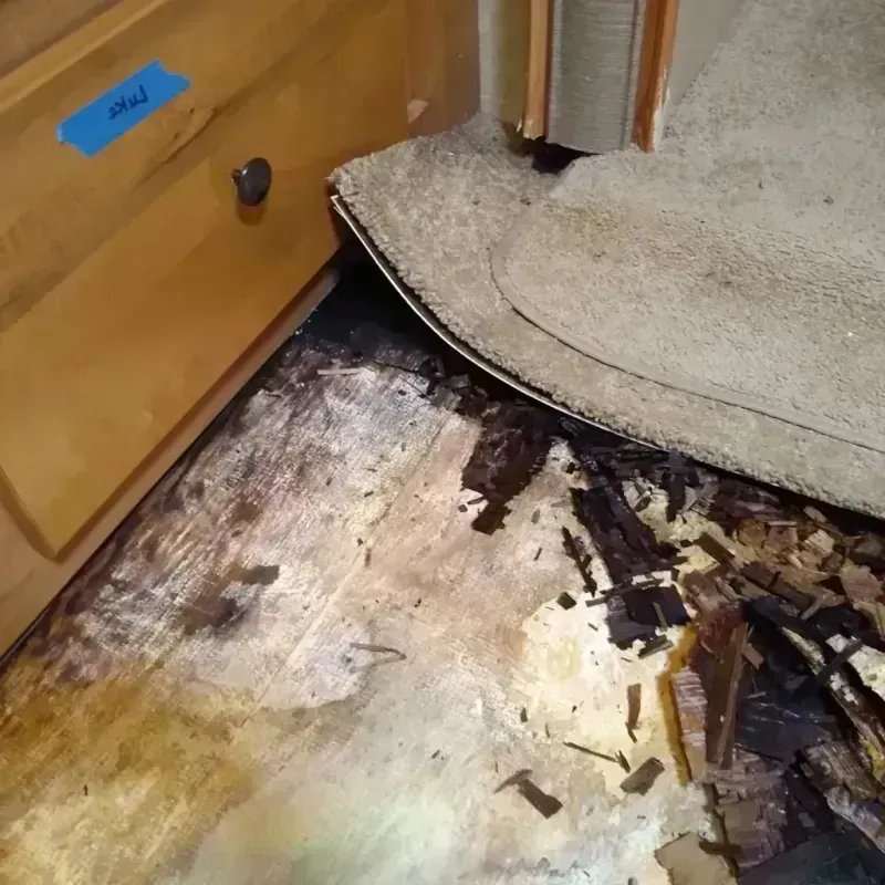 Wood Floor Water Damage in Quartzsite, AZ